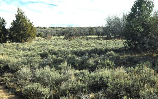 W 2A Beaver Pines Loop