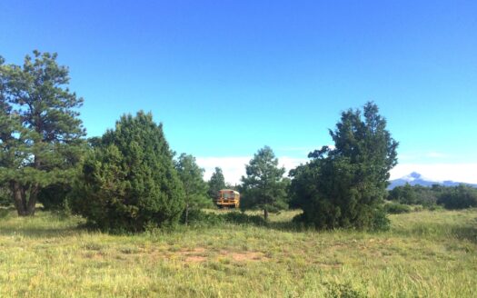 W 2A Beaver Pines Loop