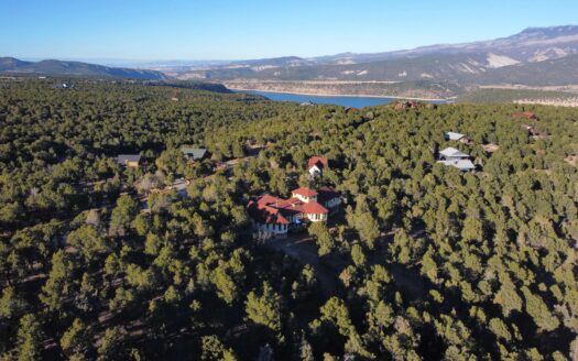 622 Bristlecone Drive