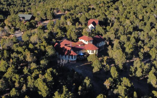 622 Bristlecone Drive